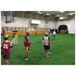Indoor Turf Mat, 5'x50'