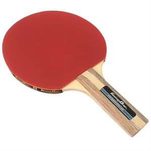 Raquette de tennis de table en bois pour DÉBUTANT