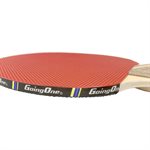 BEGINNER Table Tennis Paddle