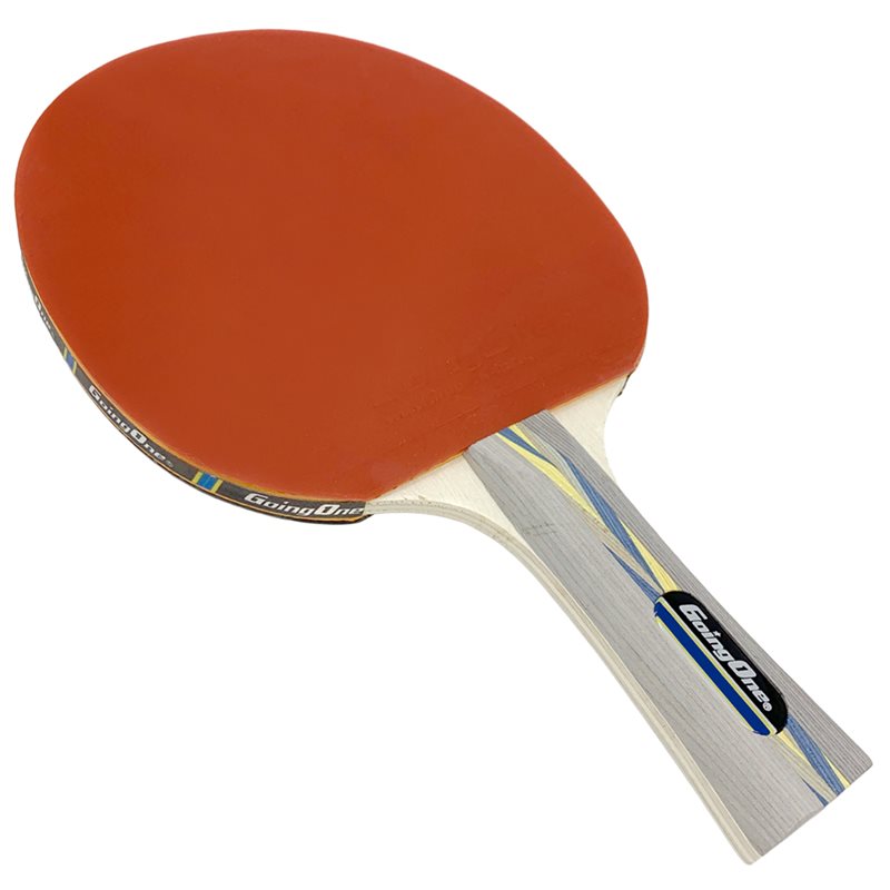 Raquette de tennis de table en bois pour TOURNOI