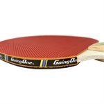 DELUXE Table Tennis Paddle