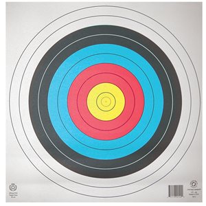 Paper round target