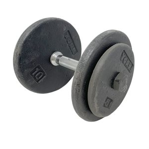 Iron Dumbbell, 30 lb