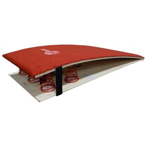 Spieth Anderson Junior Springboard