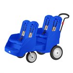 Buggy Parade 4 Gaggle