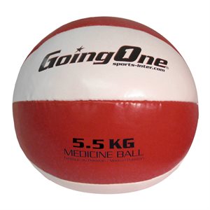 Leather Medicine Ball - 5.5 kg (12 lb)