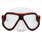 Scaup Spectra Snorkeling Mask, Double Lenses