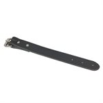 Black leather strap with buckle