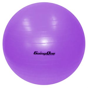 Ballon d'entraînement - 75 cm (30")