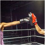 IBF Focus Mitts, Leather