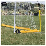 2 weights for Quickster nets