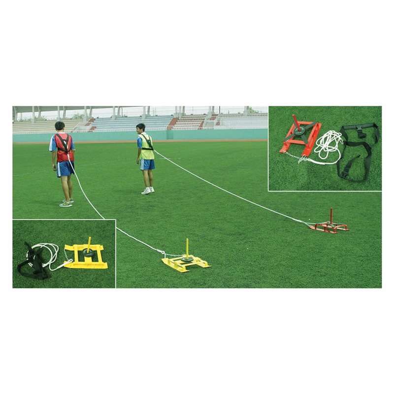 Training sled with weight post