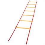 Economy Agility Ladder