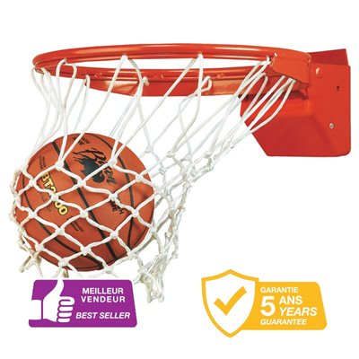 Elite Competition Basketball Goal