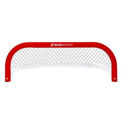 But de Pond hockey avec filet et ancrages, 36" x 12"