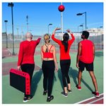 Boardball Complete Set