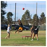 Boardball Complete Set