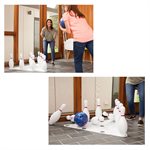 10 White Pins and 1 Bowling Ball, 5 Lb