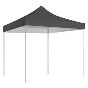 10'X10' Shelter, Black