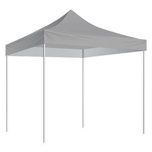 10'X10' Shelter, Grey