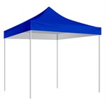 10'X10' Shelter, Royal