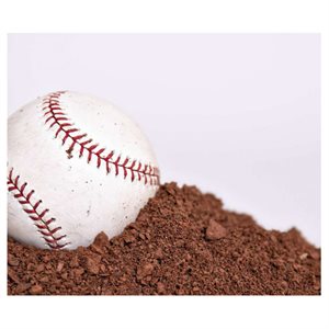 50 Clay Track Surfacer Bags