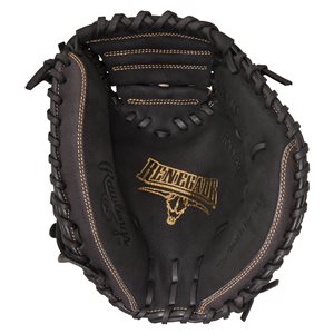 Catcher'S Mitt