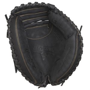 Catcher'S Mitt
