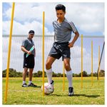 6 Coaching Sticks, Blue