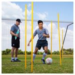 6 Coaching Sticks, Red