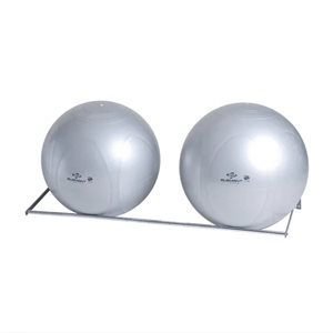 Swiss Ball Wall Mount