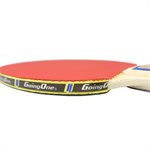 Going One Intermediate 5-Ply Wood Table Tennis Racket