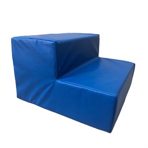 Escalier à 2 marches