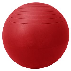 Anti-Burst Inflatable Fitness Ball