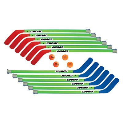 12 36" hockey sticks, 2 balls, 2 pucks