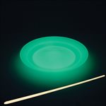 Phosphorescent Spinning Plate with Handstick