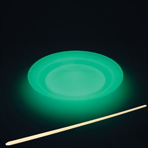 Phosphorescent Spinning Plate with Handstick