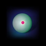 Phosphorescent ball