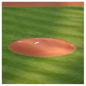 50 Mosturized Mound Clay Bag, 40 lb ea.