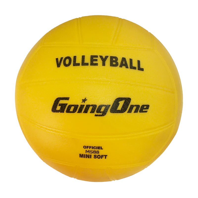 Ballon mini-volleyball Ballon mini-volleyball