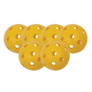 6 Outdoor Pickleballs