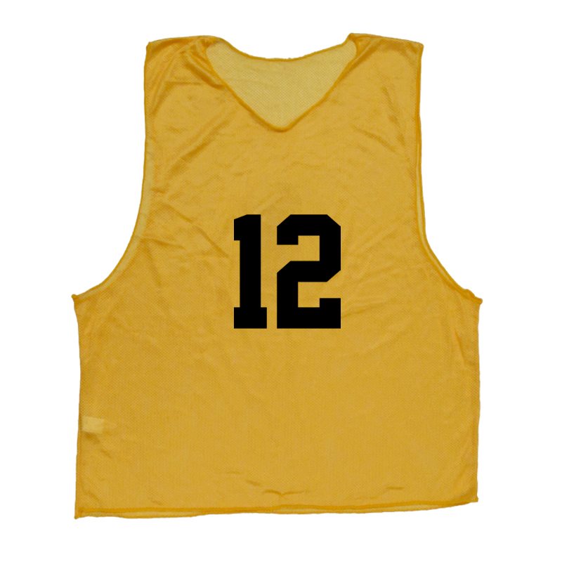 12 ADULT micro-mesh pinnies - Numbered 