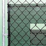 Toile coupe-vent en polyéthylène, 120'x9'