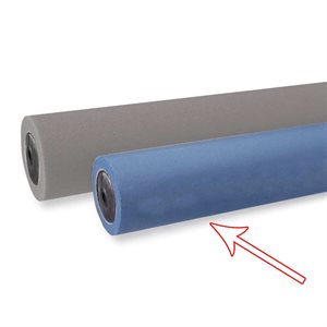 Replacement Sponge Roller for RS DLX