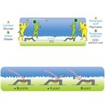 Complete Rampshot Game Set