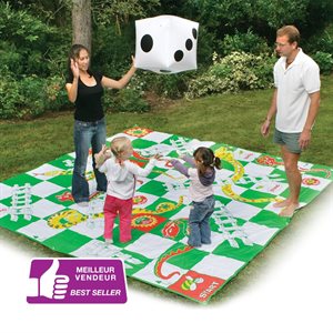 Giant Snakes and Ladders Game