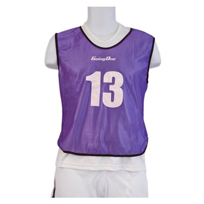15 mesh pinnies #1-15, purple