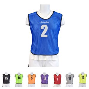 15 mesh pinnies #1-15, blue