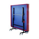 Ace 5 Indoor Table Tennis Table