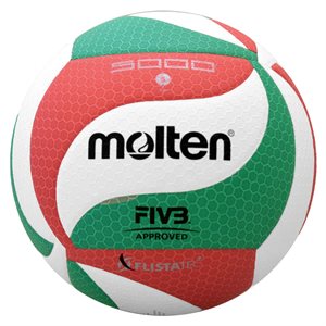 Ballons de volleyball de compétition FIVB